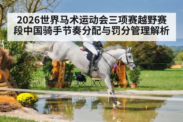 equestrian cross country eventing horse