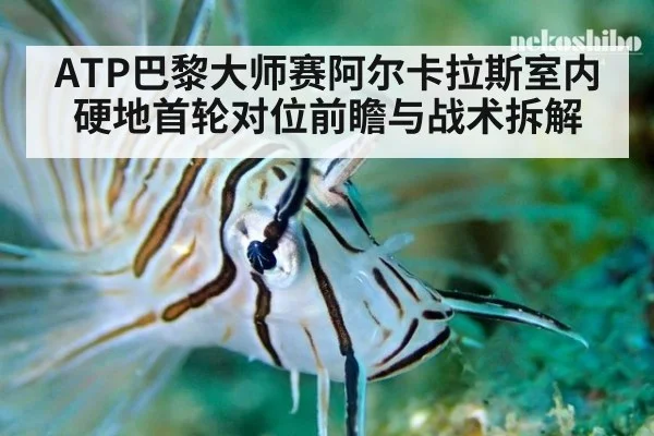 ATP巴黎大师赛阿尔卡拉斯室内硬地首轮对位前瞻与战术拆解 | jiuyouhui